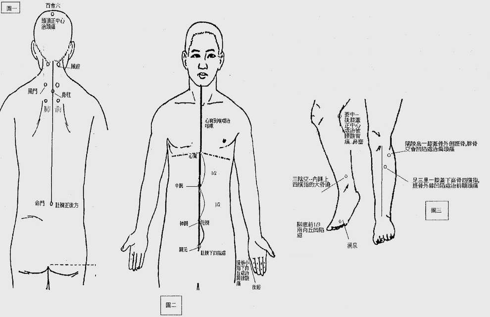 穴位圖